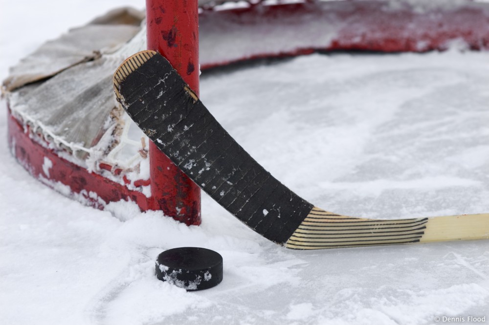 Mobivity and the Minnesota Wild Partner for Three-Year Fan Engagement Contract