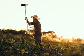 How Leading Ag Companies Are Winning Farmer Loyalty Without Cash-Back Rebates