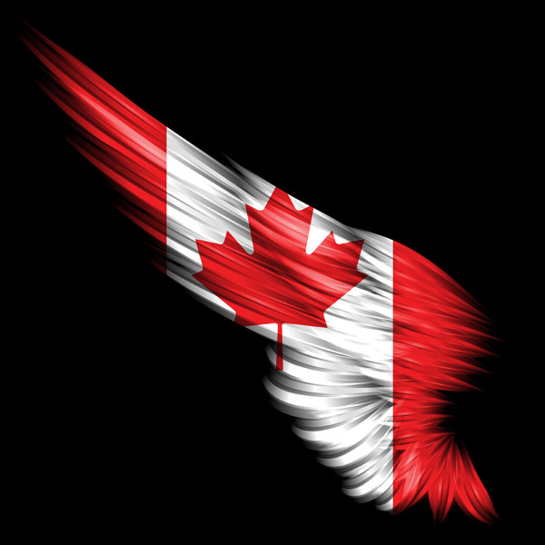 Top Canadian Travel Credit Cards Revealed