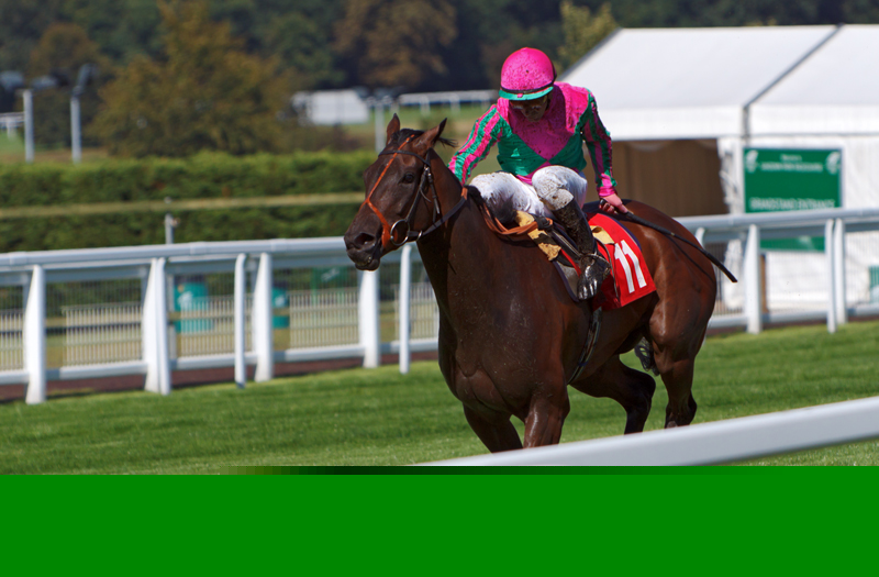 Sandown Park Awarded Top Marks in VisitEngland