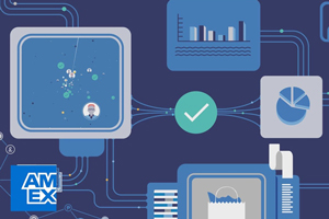American Express Makes Online Fraud Fighting Solution Accessible to More Merchants
