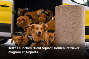 Hertz Launches “Gold Squad” Golden Retriever Program at Airports