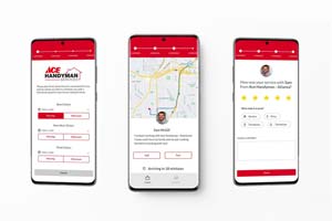 Loyalty360 Reads: February 16: Ace Handyman Services Helps Loyal Customers Achieve Home Improvement Goals, Sam