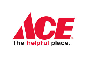 Ace Rewards Day Offers Consumers Exclusive Online Deals
