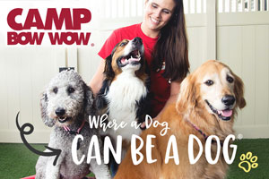 Pet Care Franchisor Camp Bow Wow Strengthens Customer Experience