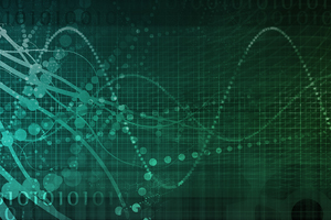 Cheetah Digital Advises Brands -- Collect Data and Act On it in Real-Time