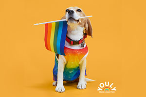 Petco Celebrates LGBTQ+ Community with Expanded Pride Collection