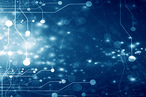 The Role of IT in Ensuring Holistic CSR Practices and Business Sustainability
