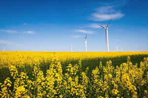 Loyalty360 Reads: July 15: Meijer’s Carbon Emissions Goal, e.l.f. Cosmetics Target Gamers, and More