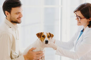 Loyalty360 Reads: July 12: PetSmart Launches Veterinary Franchise Option, BurgerFi Expands Partnership with Gopuff, and More