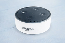 Voice Shopping Increases with the Help of Amazon and Alexa