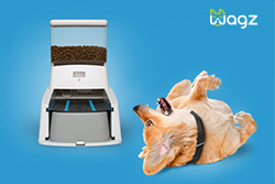 CX Turns Pet Friendly with Wagz 