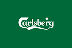 Carlsberg Commits to CSR with Paper Beer Bottle