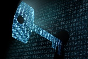 The Art of Data-Driven Strategy