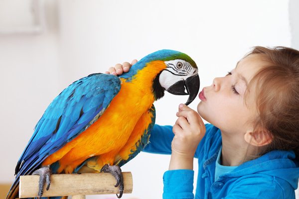 Dave’s Soda and Pet City Launches LOC Card, Strives to Keeps Loyalty Simple