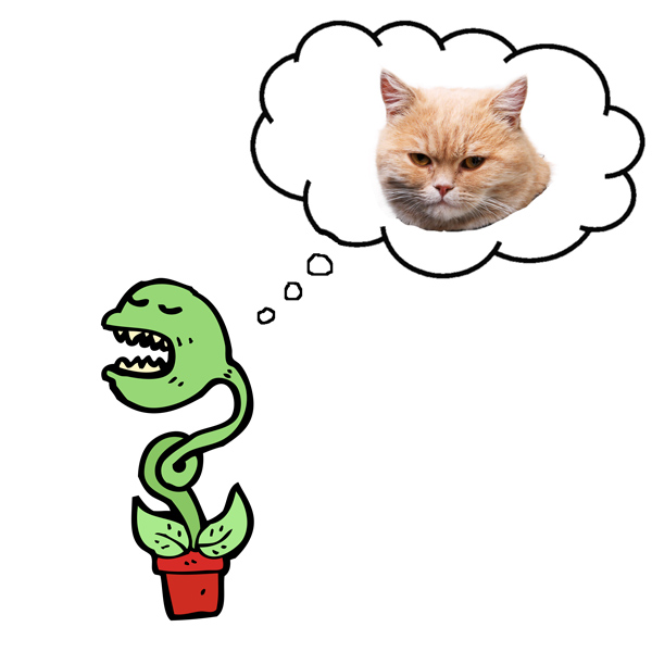 Feed Me Seymour: $11 Billion in Social Feed Spend Projected by 2017