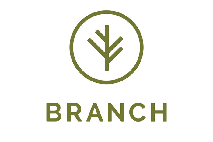 Branch Insurance Hopes To Grow With Focus on Simplicity