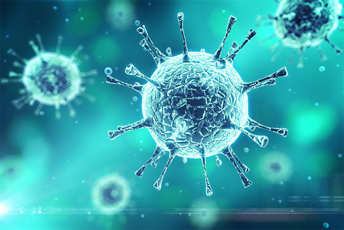 Brands Learn to Pivot to Engage Loyal Customer During Pandemic