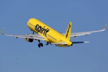 Brand Loyalty Gaining Altitude for Spirit Airlines