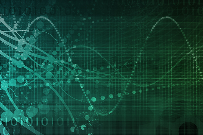 Cheetah Digital Advises Brands -- Collect Data and Act On it in Real-Time