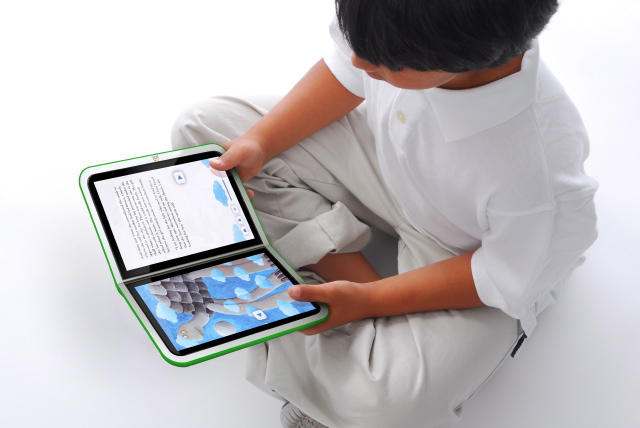 Economics of Advocacy ebook