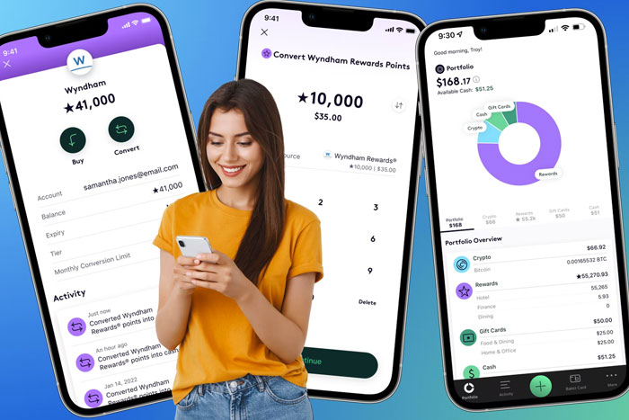 Unleashing Loyalty Points to Pay