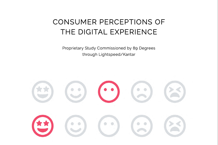 Consumer Perceptions of the Digital Experience