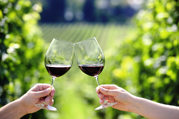 Sustainability, CSR, and Product Differentiation within J. Lohr