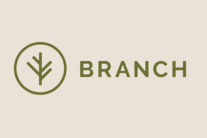 Q&A With Kim Klenk, Growth Marketing Director for Branch Insurance, PT. 2