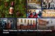 Torani Celebrates 100 Years of Flavor and Record-Breaking Growth 