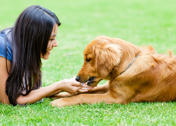 UFC, Nestlé Purina Want to Retain Loyal Customers, Build Brand Advocates