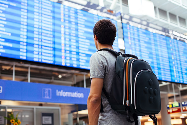 Airline Industry Continues Upward CX Trend