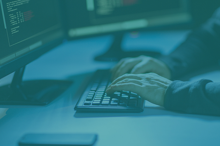 Digital Fraud Prevention and Business Innovation