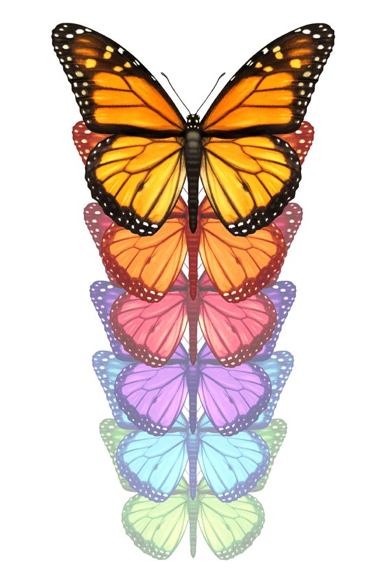 The CMO’s Massive Transformation