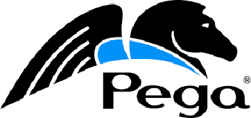 Pegasystems in Touch with Challenges Facing Today