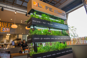 LYFE Kitchen Launches Loyalty Program, Taps into Success of “Fast-Fine” Food Chains