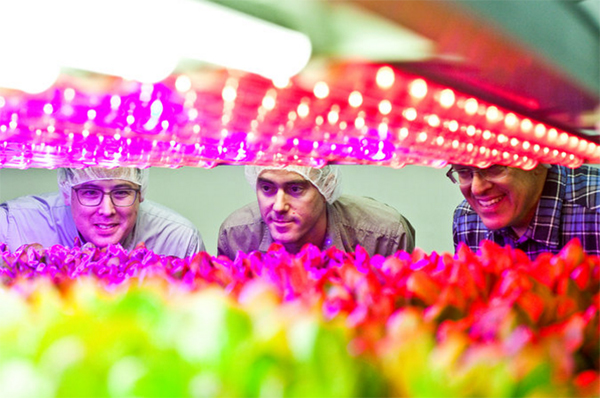 Being a Good Community Steward at the Core of AeroFarms Mission
