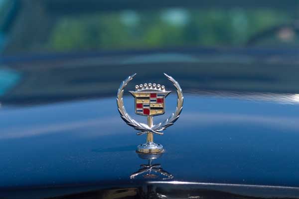 Windsurf and Turf: Cadillac Cruises with American Airlines in New Loyalty Partnership