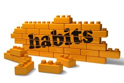 Industry Report Suggests Habits for CX Professionals
